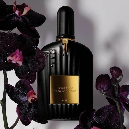 black orchid